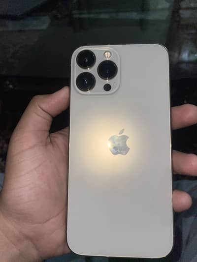 Apple iPhone 13 Pro Max