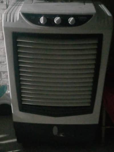 Air coolar . (one season used)
