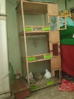 cage for best condition