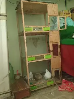 cage for best condition