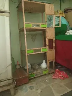 cage for best condition — photo 2