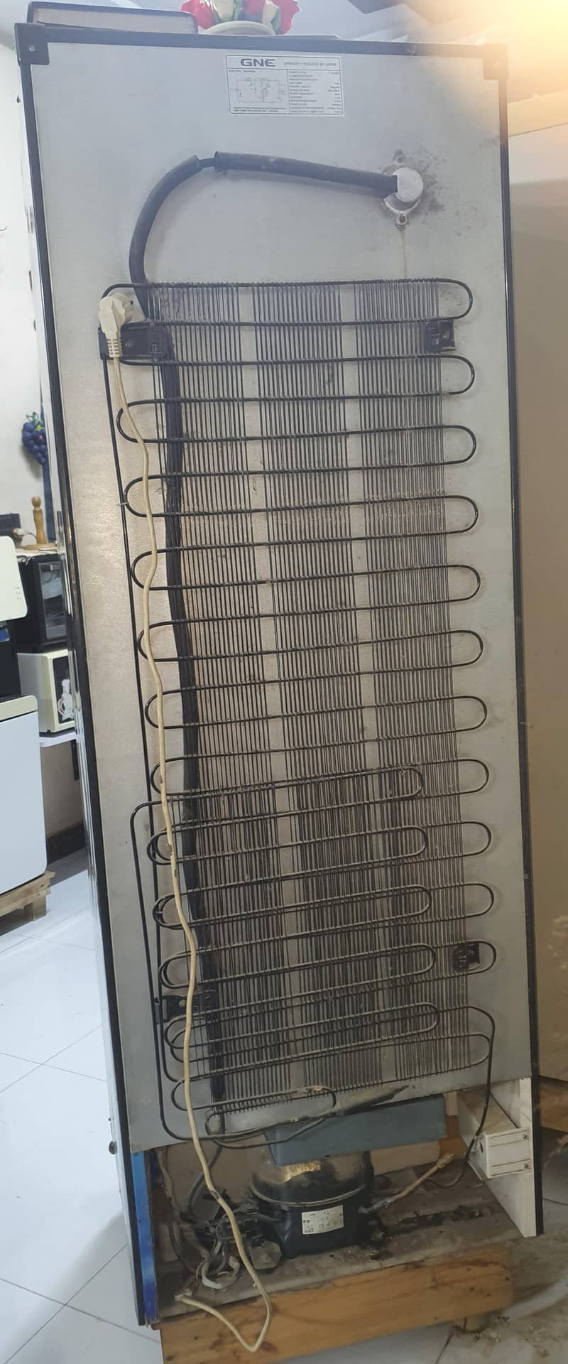DeepFreezer single door 1