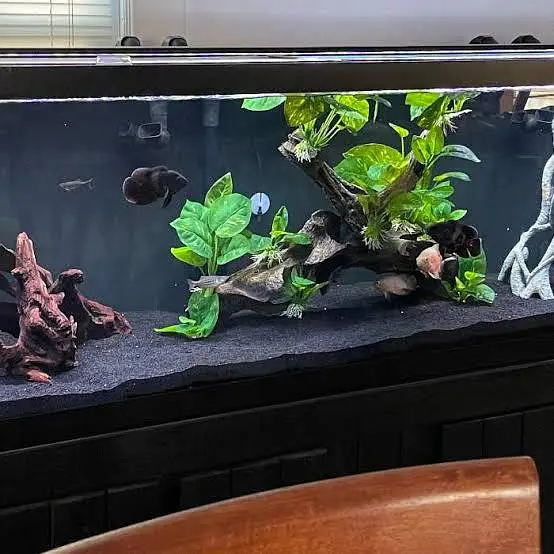 Aquarium sand, gravel at wholesale rate black sand, white sand, beige