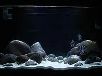 Aquarium sand, gravel at wholesale rate black sand, white sand, beige — photo 2