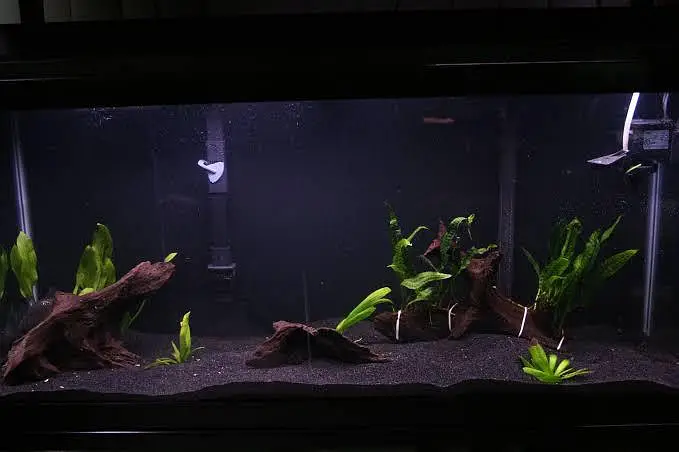 Aquarium sand, gravel at wholesale rate black sand, white sand, beige — photo 3