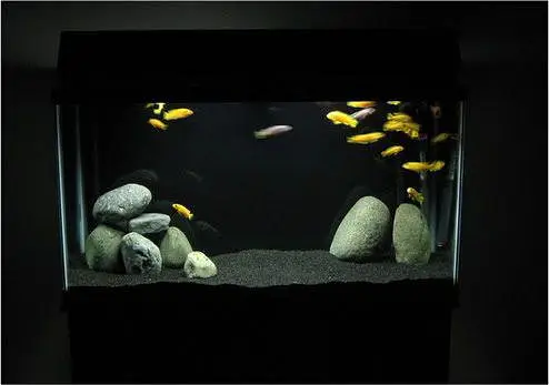 Aquarium sand, gravel at wholesale rate black sand, white sand, beige — photo 4