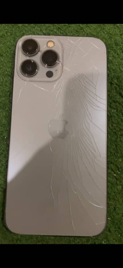 Apple iPhone 13 Pro Max