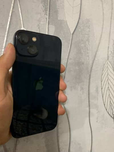 Apple iPhone 13 waterpack airtight