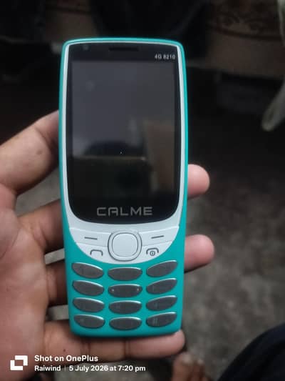 Calme Other Model 03116494212