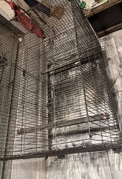Parrot cage