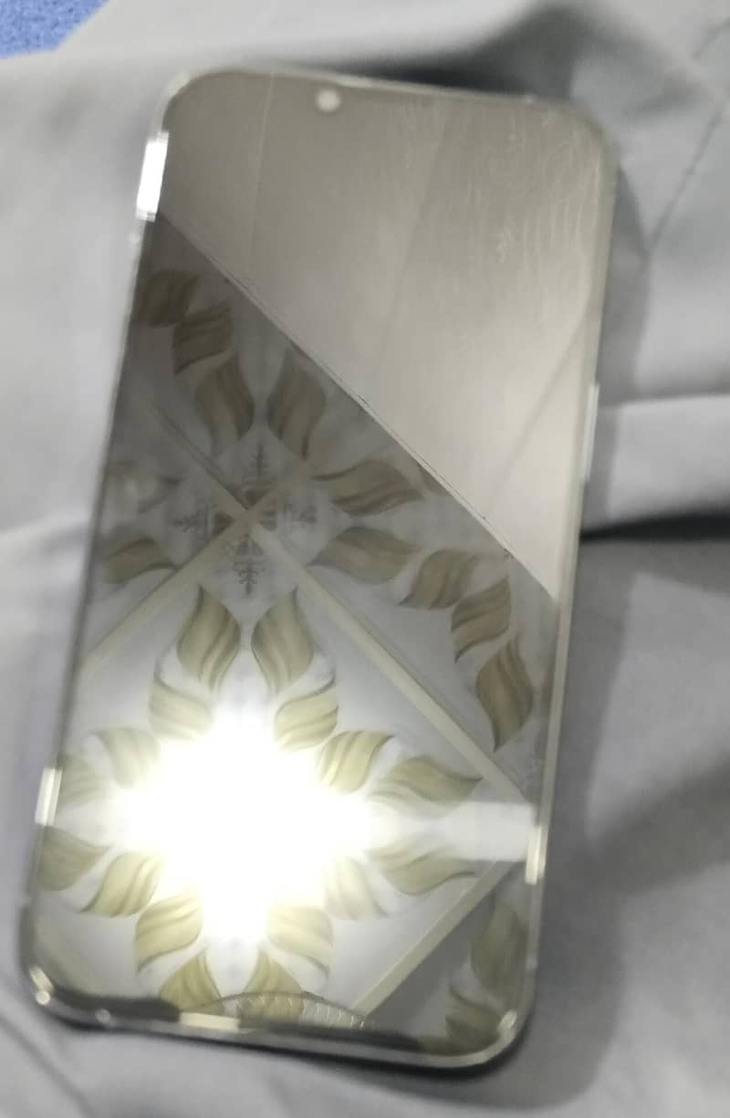 iPhone 13Pro 6
