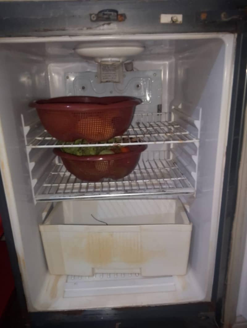 Waves Fridge 1