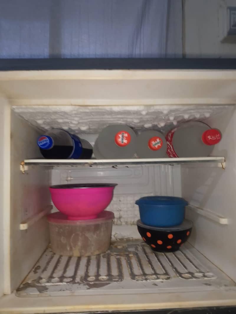 Waves Fridge 3