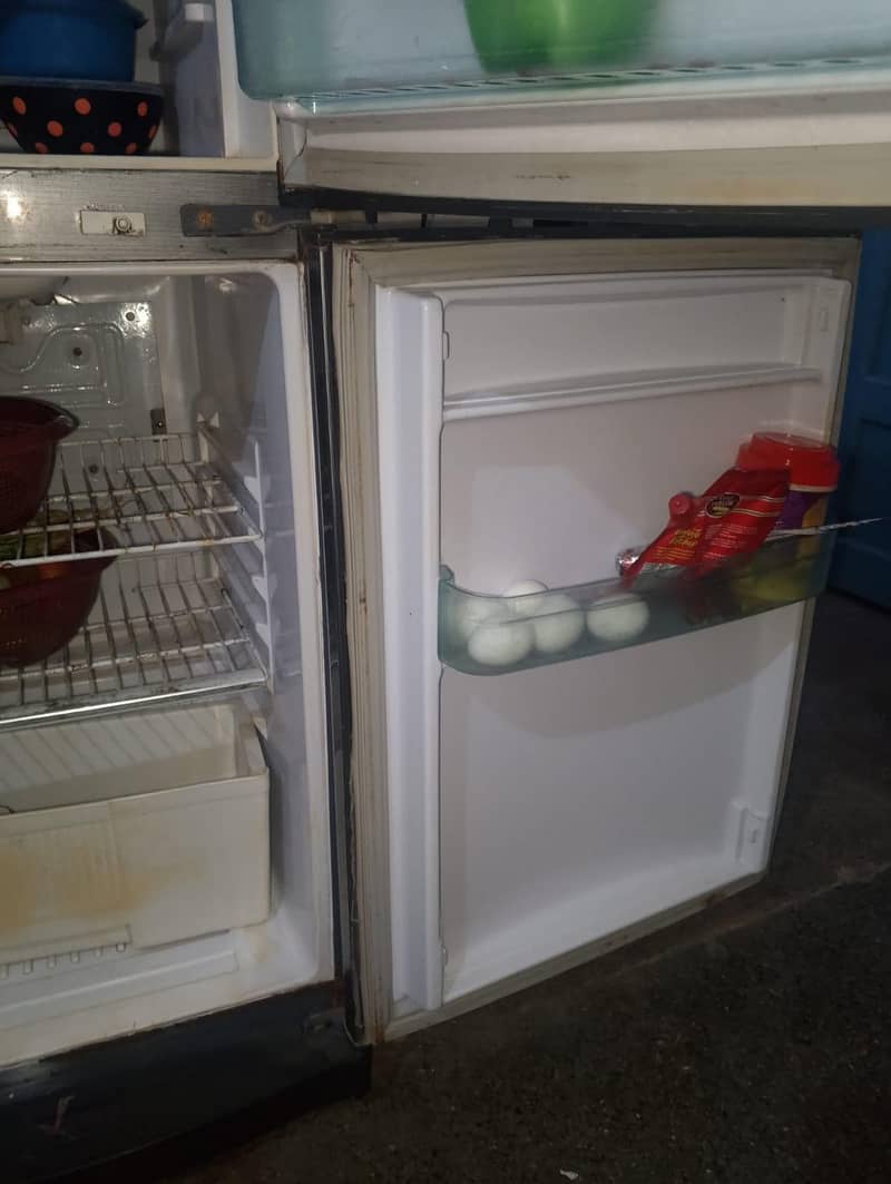 Waves Fridge 4
