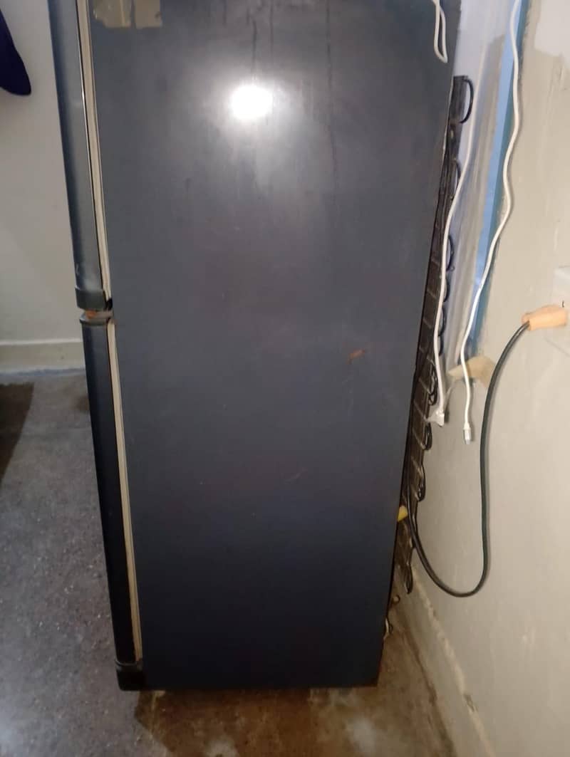 Waves Fridge 5