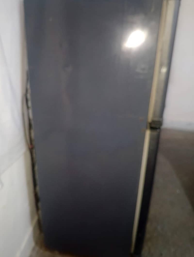 Waves Fridge 6