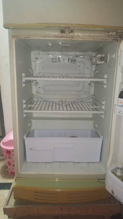 Pell Fridge