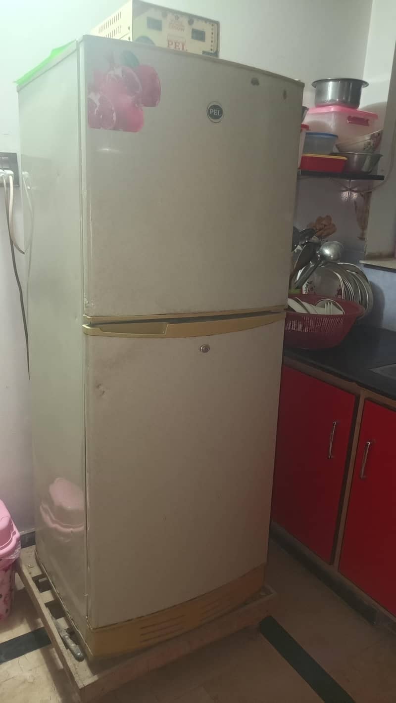 Pell Fridge 1