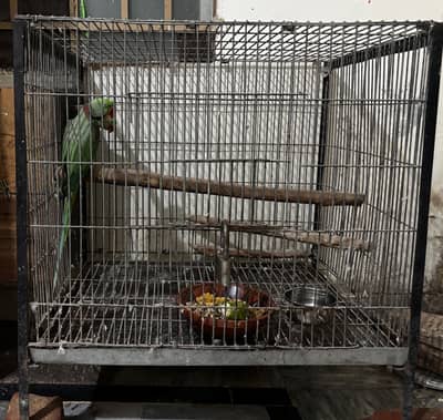 Only Cage For Bird's 03365401400