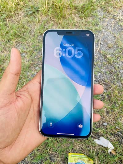Apple iPhone 12 Pro Max