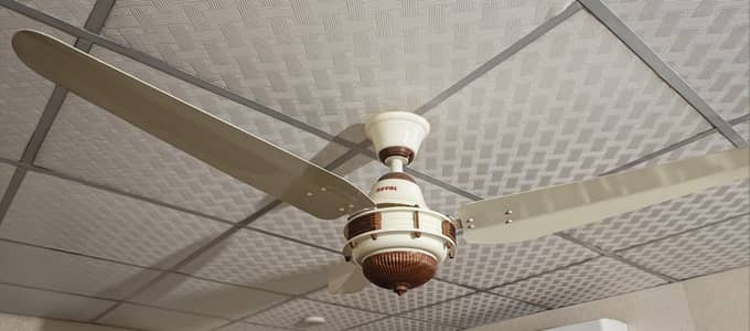 Royal Deluxe Series Fan 56 inch