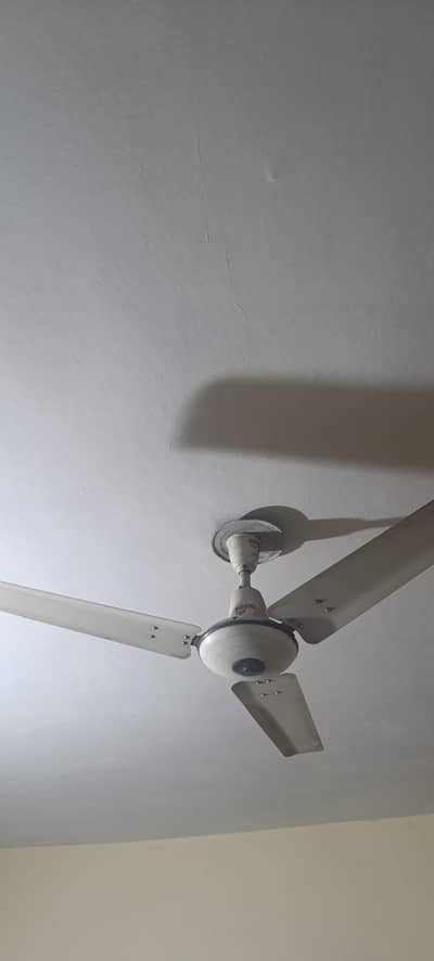 Royal fan copper fan