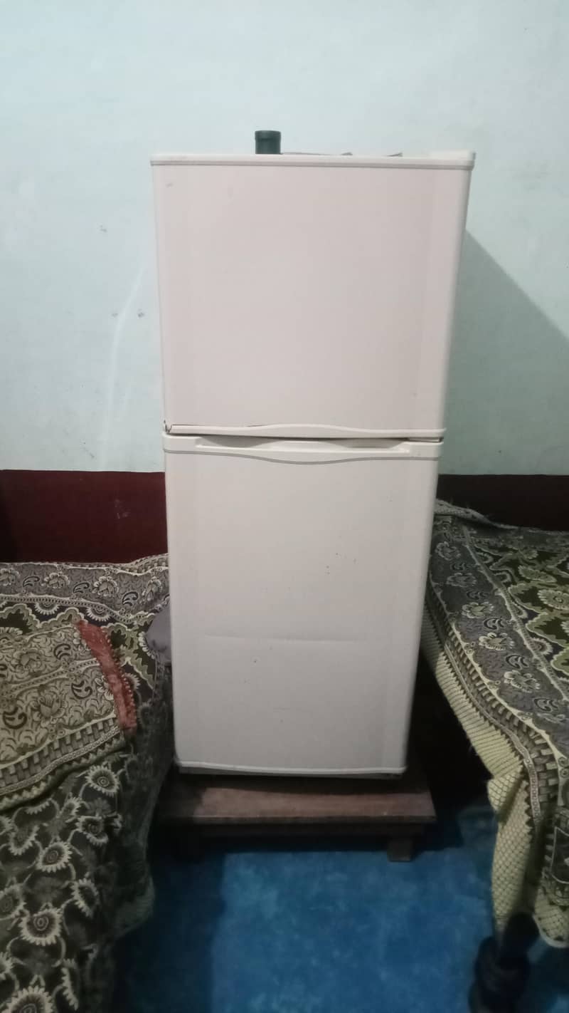medium size 1