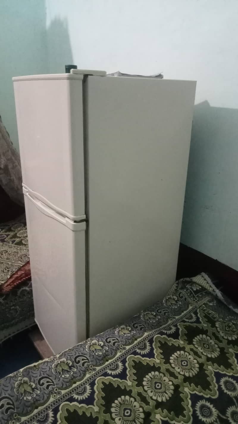 medium size 2