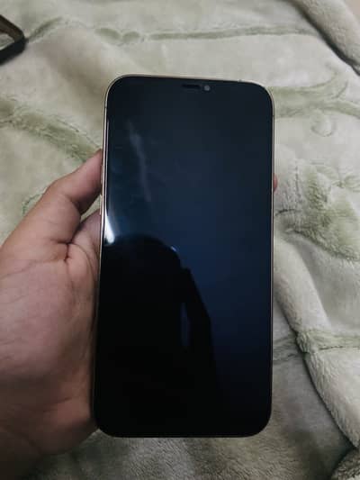 Apple iPhone 12 Pro Max