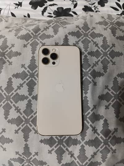 Apple iPhone 12 Pro Max