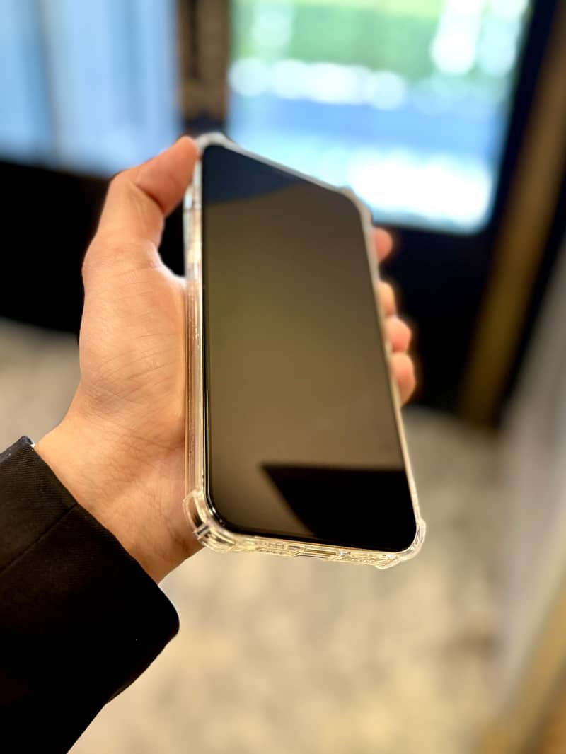 iPhone 13 Pro Max 2