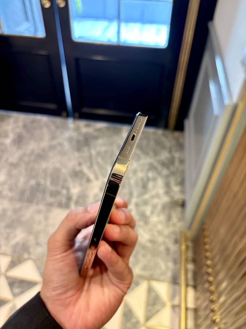 iPhone 13 Pro Max 6