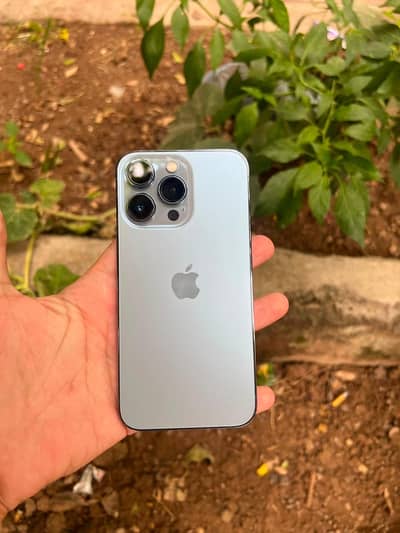 iPhone 13 Pro pta approved