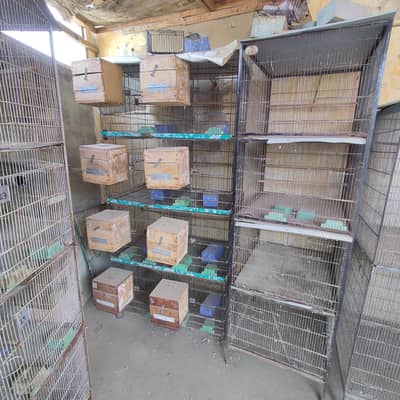 cages