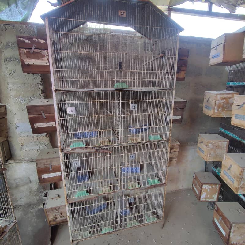 cages 1