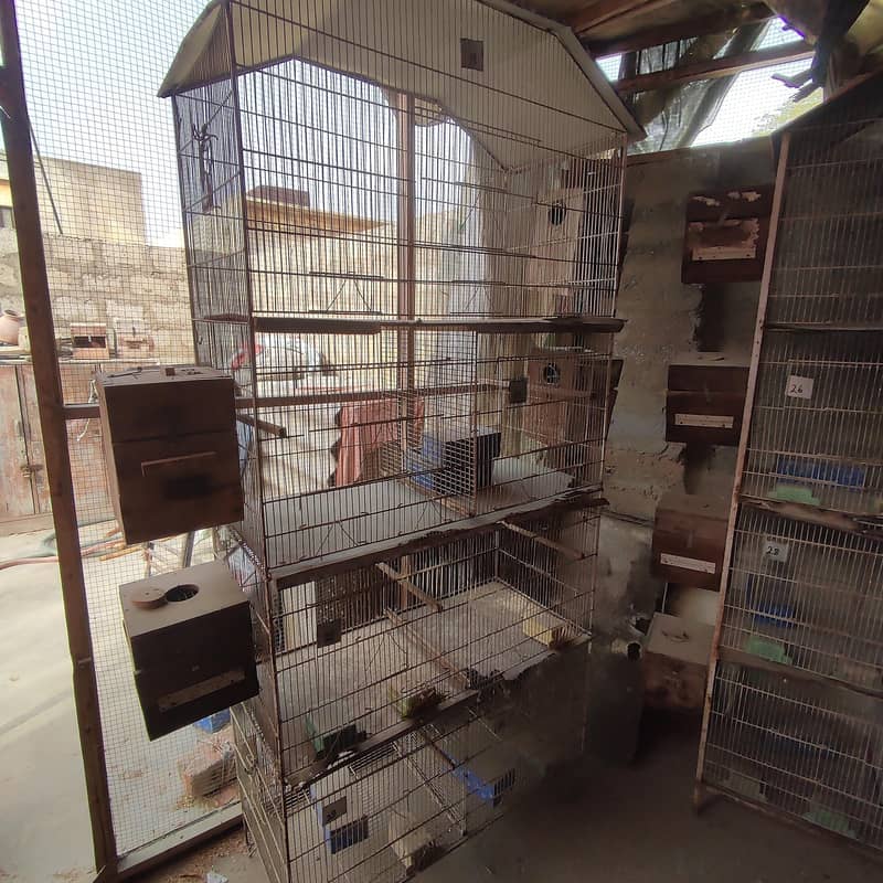 cages 4