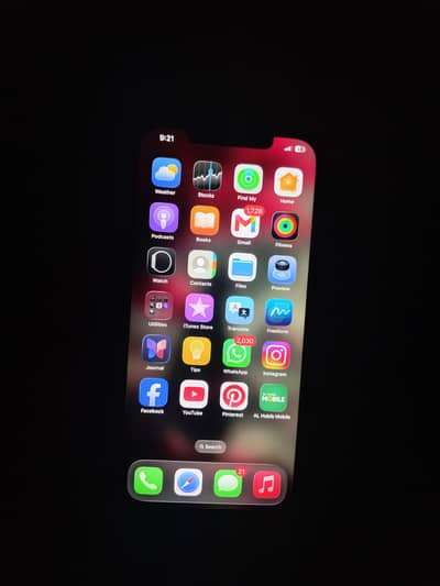 Apple iPhone 12 Pro Max