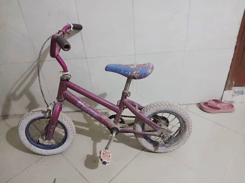 Bicycles 3