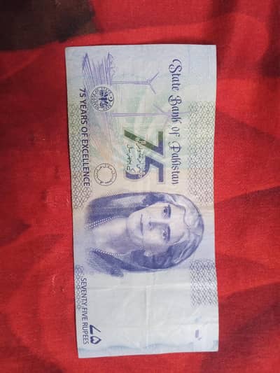Pakistani currency Note