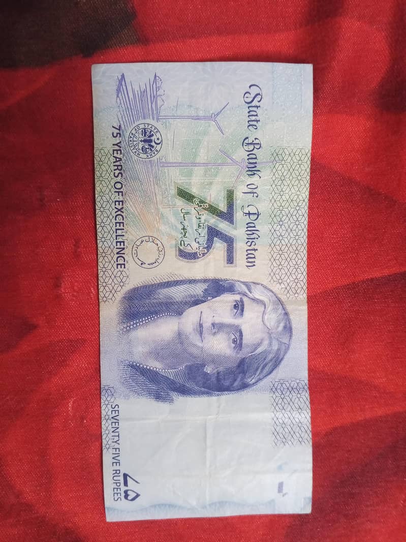 Pakistani currency Note 2