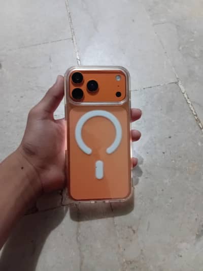 only WhatsApp 03152344578