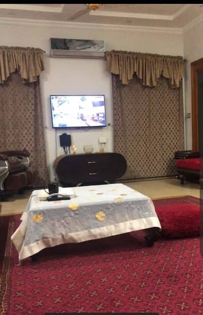 carpet