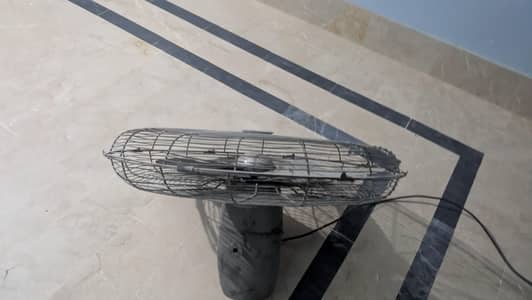 Fan Mehran