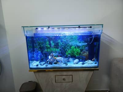 aquarium