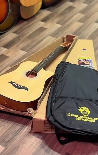 professional acoustic guitar