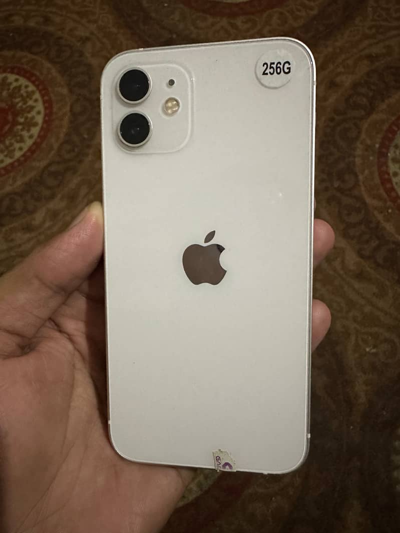 iPhone 12 1