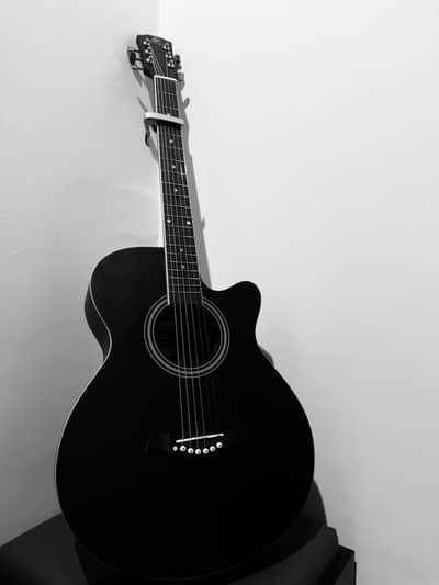 Swift horse professional guitar