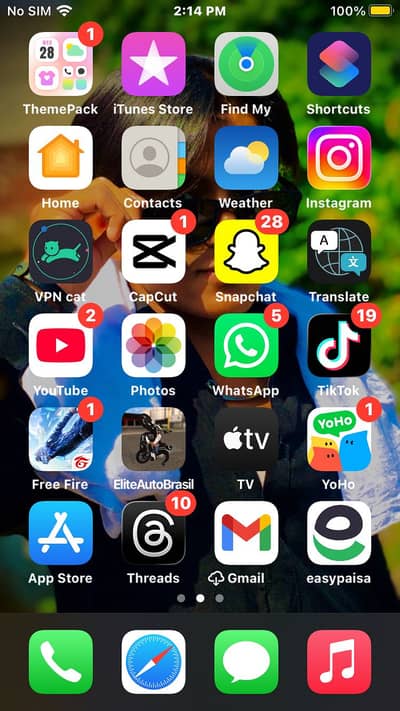 Apple iPhone 6S