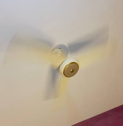 Two Full Size and One Small size Ceiling Fan for sale