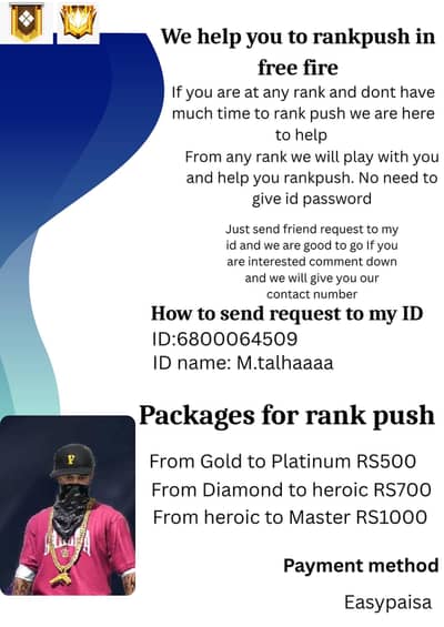Here to Rankpush for you